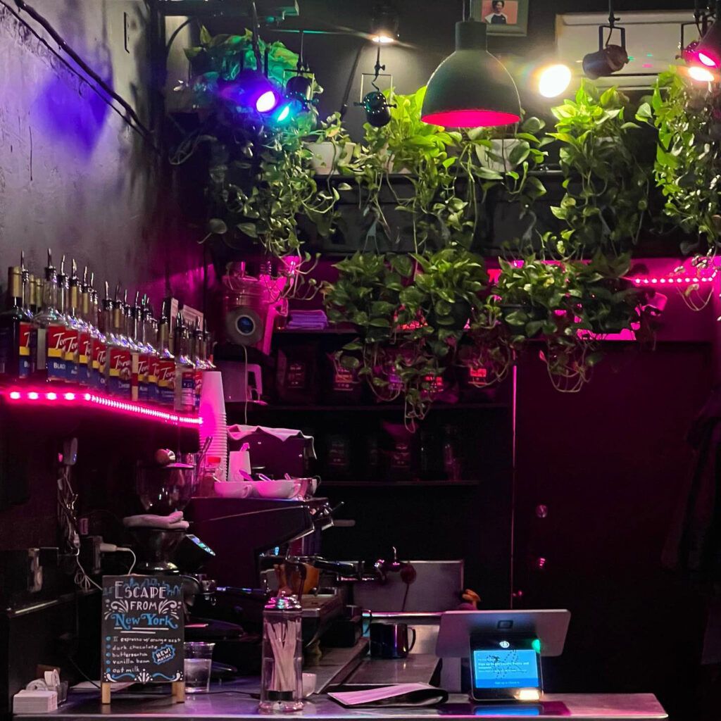 What makes The Cosmic Grind a unique coffee shop on Church Street?